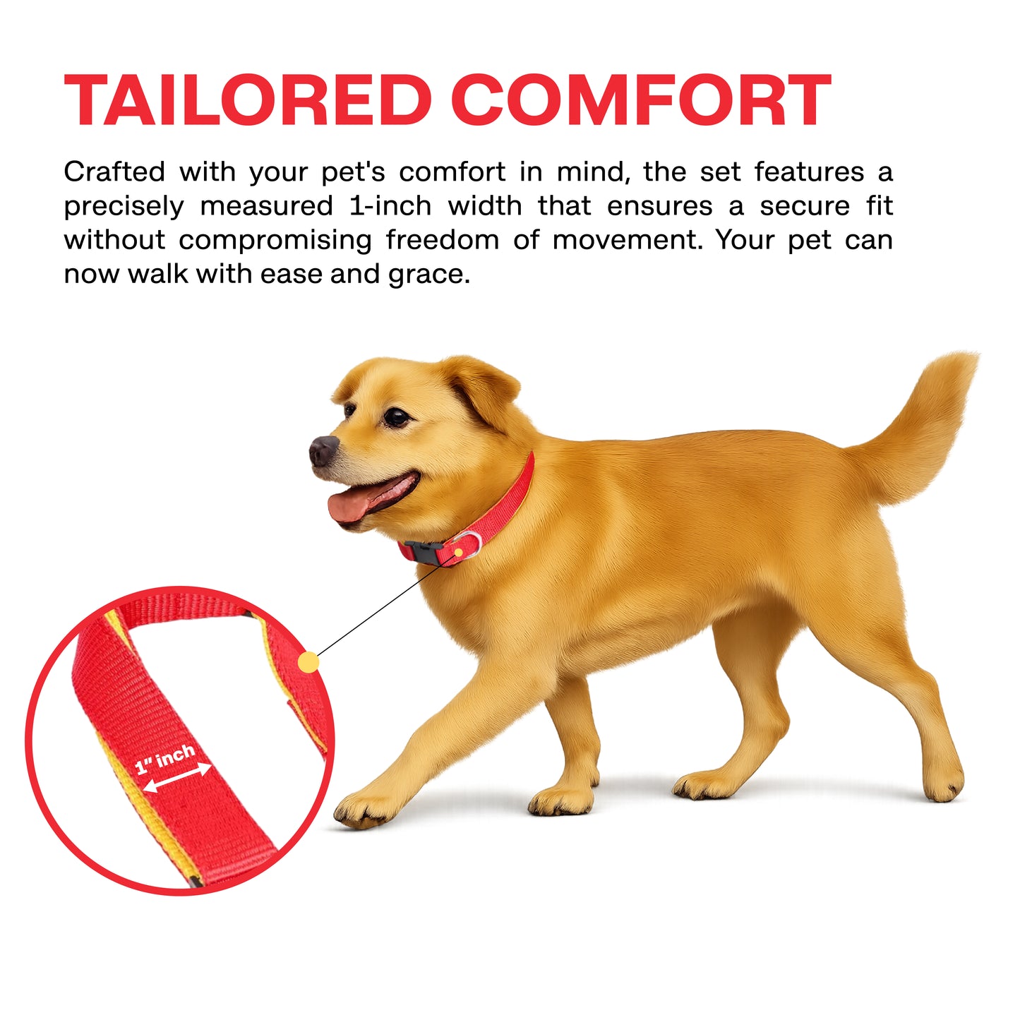 Dog wearing a red collar with a close-up of the collar's width measurement on a white background.