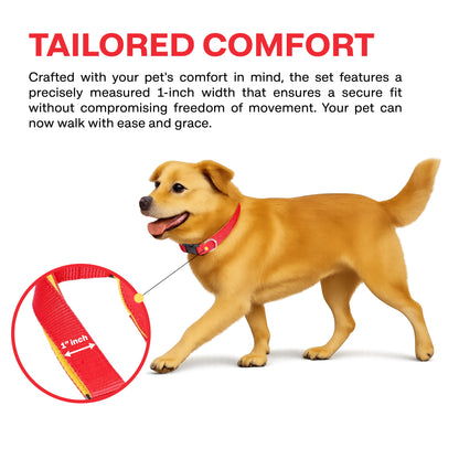 Dog wearing a red collar with a close-up of the collar's width measurement on a white background.