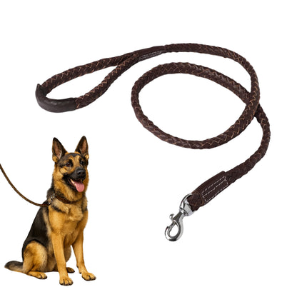 Dog sitting next to a brown dog leash on a white background