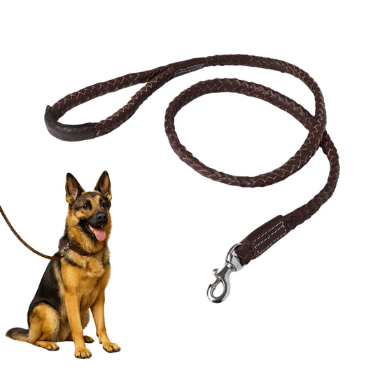 Dog sitting next to a brown dog leash on a white background
