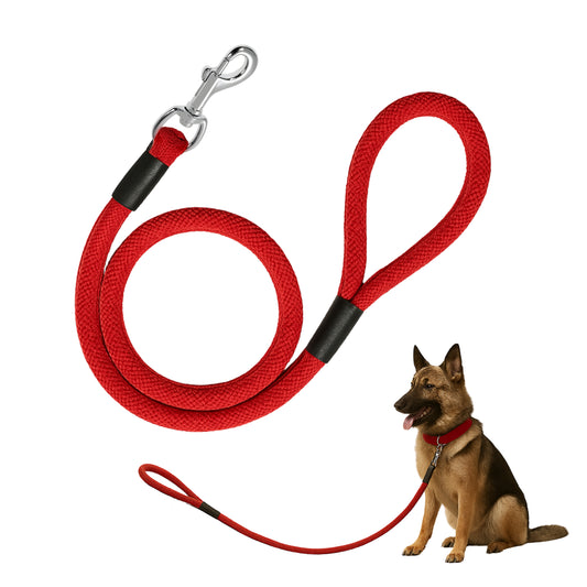 Red dog leash with black accents and a silver clip, next to a German Shepherd dog on a white background.