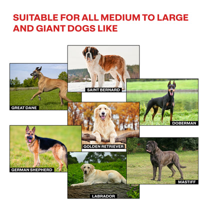 Collage of various large dogs with text indicating suitability for medium to large and giant dogs.