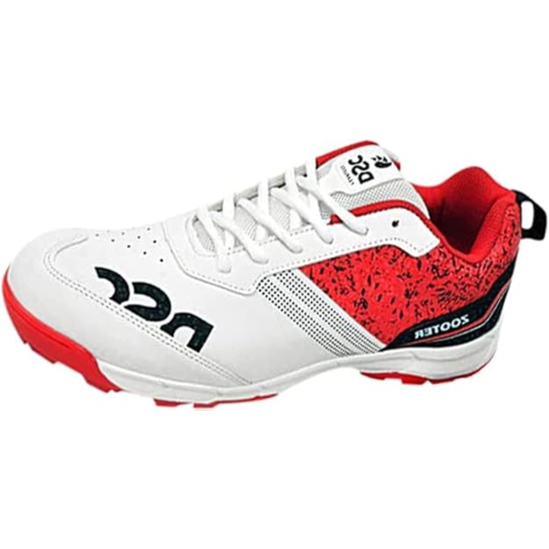 DSC Cricket Shoes