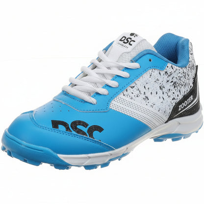 DSC Cricket shoes