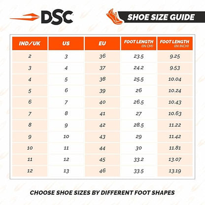 DSC Cricket Shoes