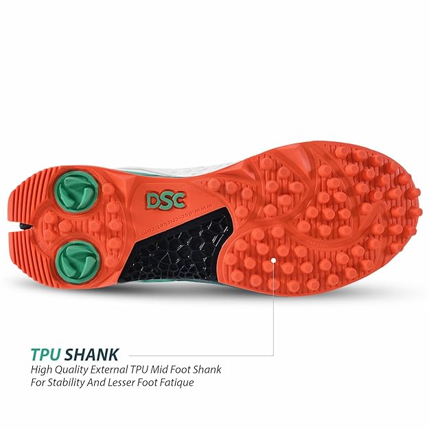 DSC Cricket Shoes