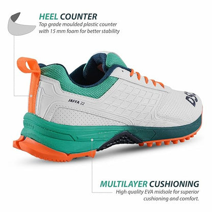 DSC Cricket Shoes
