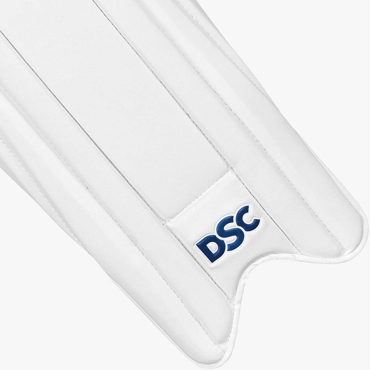 DSC Intense Speed Cricket Wicket Keeping Legguard | Color: Multicolor | Material: PU, Foam | Skill Level: Professionals | Breathable | Mesh Instep | High-Density Foam | Lightweight Padded